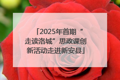 2025年首期“走读洛城”思政课创新活动走进新安县