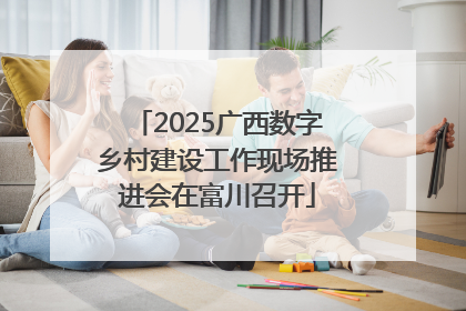 2025广西数字乡村建设工作现场推进会在富川召开