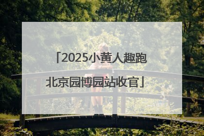 2025小黄人趣跑北京园博园站收官