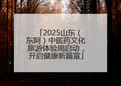 2025山东（东阿）中医药文化旅游体验周启动，开启健康新篇章