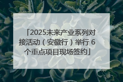 2025未来产业系列对接活动（安徽行）举行 6个重点项目现场签约