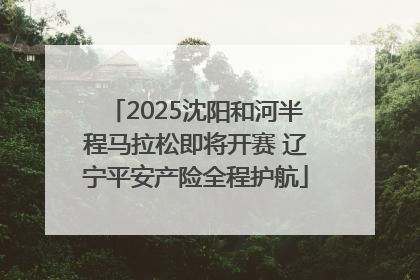 2025沈阳和河半程马拉松即将开赛 辽宁平安产险全程护航