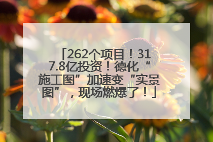 262个项目！317.8亿投资！德化“施工图”加速变“实景图”，现场燃爆了！