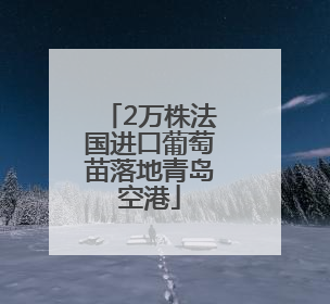 2万株法国进口葡萄苗落地青岛空港