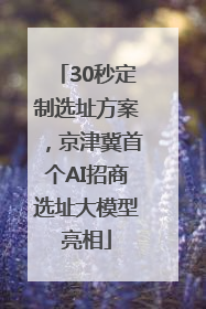 30秒定制选址方案，京津冀首个AI招商选址大模型亮相
