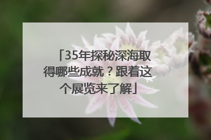 35年探秘深海取得哪些成就？跟着这个展览来了解