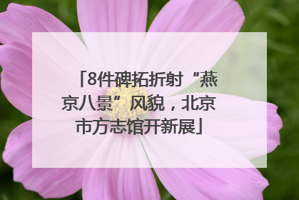 8件碑拓折射“燕京八景”风貌，北京市方志馆开新展