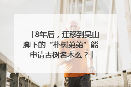 8年后，迁移到吴山脚下的“朴树弟弟”能申请古树名木么？