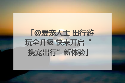 @爱宠人士 出行游玩全升级 快来开启“携宠出行”新体验