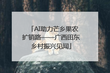AI助力芒乡果农扩销路——广西田东乡村振兴见闻