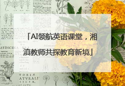 AI领航英语课堂，湘滇教师共探教育新境