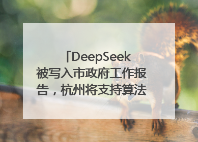 DeepSeek被写入市政府工作报告，杭州将支持算法模型企业发展