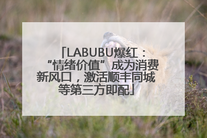 LABUBU爆红：“情绪价值”成为消费新风口，激活顺丰同城等第三方即配