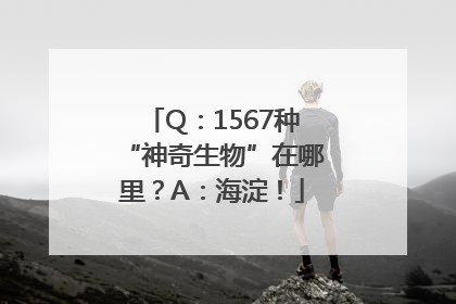 Q：1567种“神奇生物”在哪里？A：海淀！
