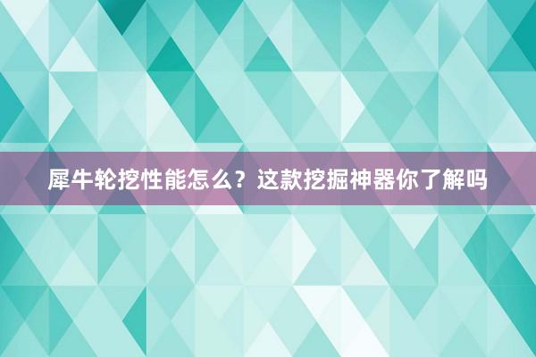 犀牛轮挖性能怎么？这款挖掘神器你了解吗